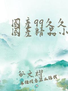 国产99久久久国产精品小说