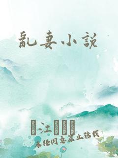 乱妻小说