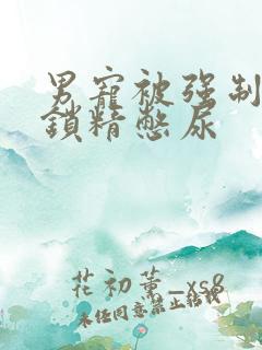 男宠被强制灌水锁精憋尿
