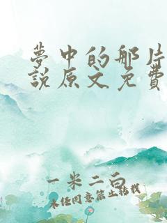 梦中的那片海小说原文免费阅读