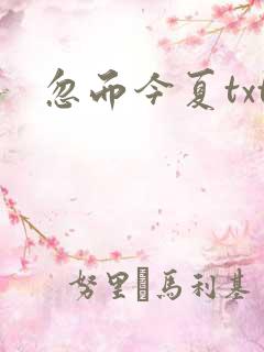 忽而今夏txt