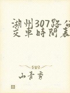 湖州307路公交车时间表