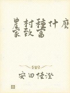 农村种什么能发家致富