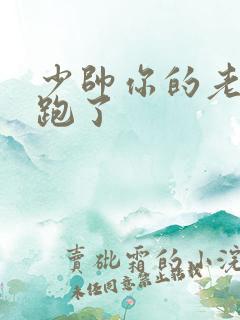 少帅你的老婆又跑了