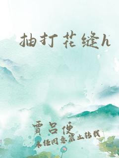 抽打花缝h