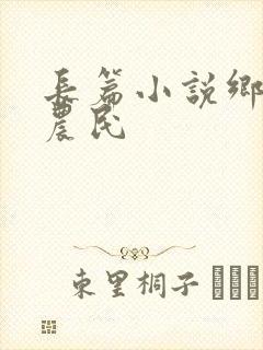 长篇小说乡村小农民
