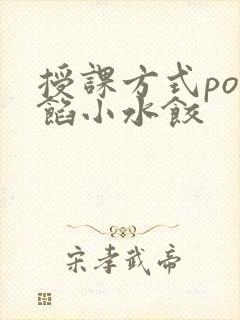 授课方式po肉馅小水饺