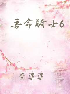 吾命骑士6