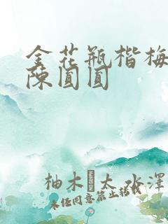 金花瓶楷梅花2陈圆圆