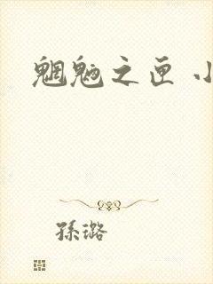 魍魉之匣 小说
