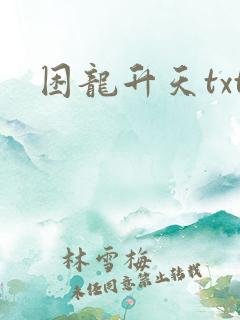困龙升天txt