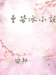 曹若冰小说