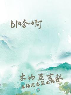 bl哈啊