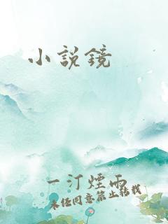 小说镜