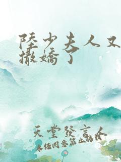 陆少夫人又双叒撒娇了