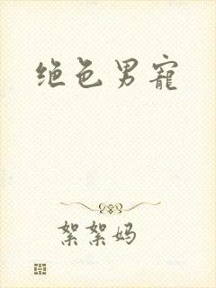 绝色男宠