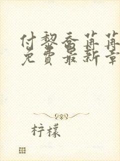 付黎乔苒苒小说免费最新章节更新时间