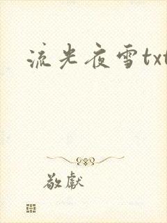 流光夜雪txt