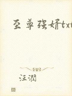 至尊强婿txt