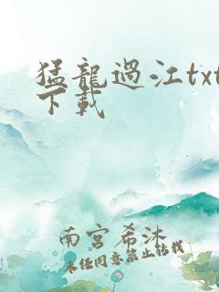 猛龙过江txt下载