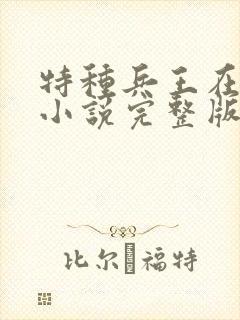 特种兵王在山村小说完整版