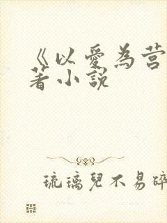 《以爱为营》原著小说