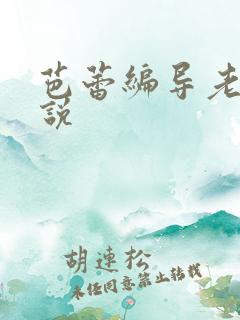 芭蕾编导老师小说