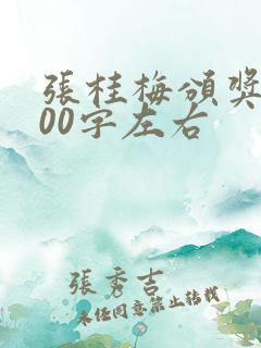 张桂梅颁奖词100字左右