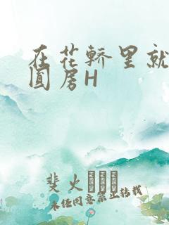 在花轿里就开始圆房H