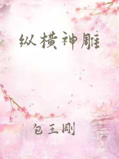 纵横神雕