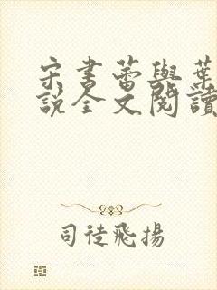 宋书蕾与叶临小说全文阅读