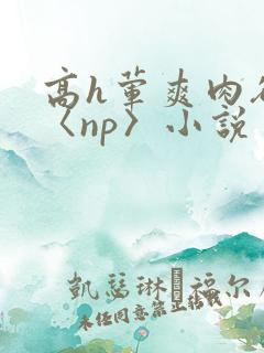 高h荤爽肉欲文〈np〉小说