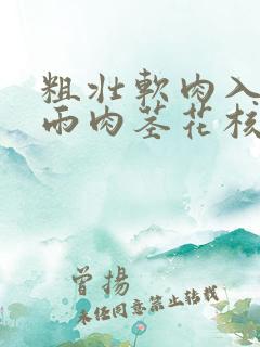 粗壮软肉入户云雨肉茎花核