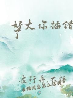 好大你插错地方了