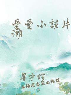 爱爱小说片段高潮