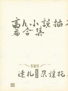 高h小说插入短篇合集