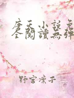 唐天小说免费大全阅读无弹窗