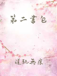 第二书包