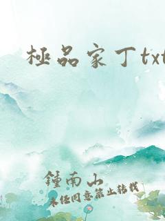 极品家丁txt