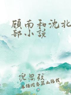 顾南和沈北是哪部小说