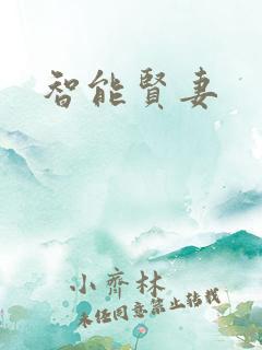 智能贤妻