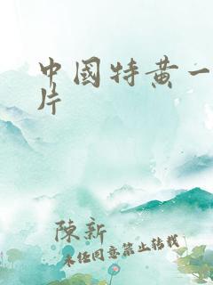 中国特黄一级大片