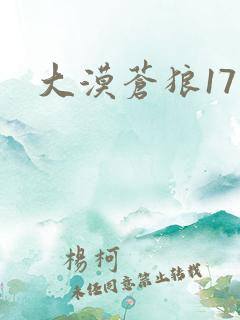 大漠苍狼17