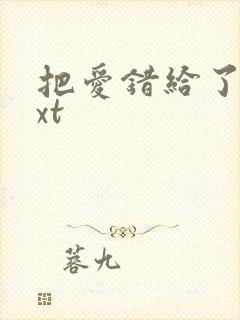 把爱错给了你txt