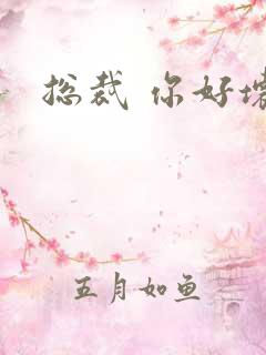 总裁 你好坏