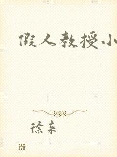 假人教授小说