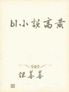 bl小说高黄