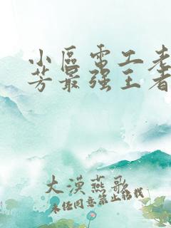 小区电工老周刘芳最强王者
