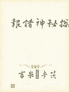 报错神秘总裁
