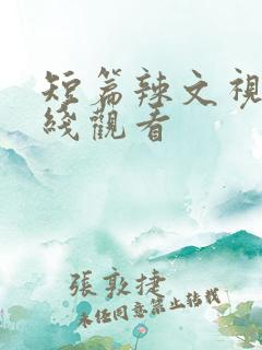 短篇辣文视频在线观看